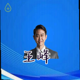 王峰