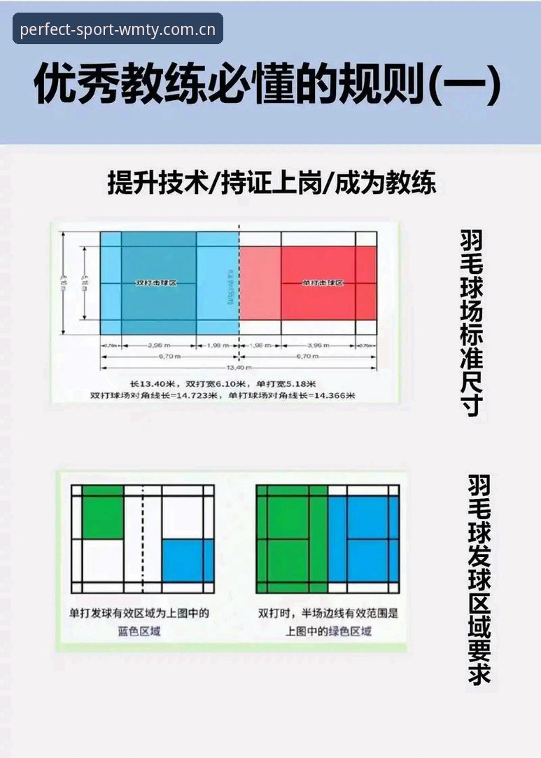 世界杯观赛受阻？完美体育平台带你解析签证危机与赛事体验入门教程