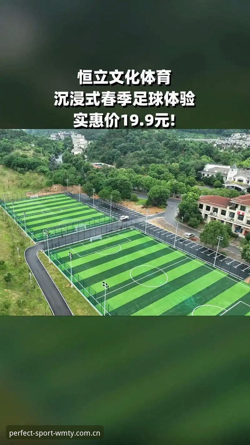 完美体育平台v2.3.0深度评测：从注册体验到赛事互动的全面升级